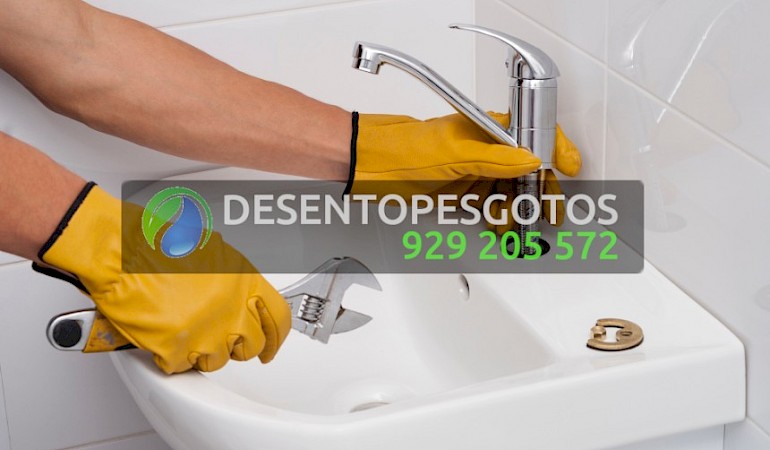 Canalizadores Moninhos