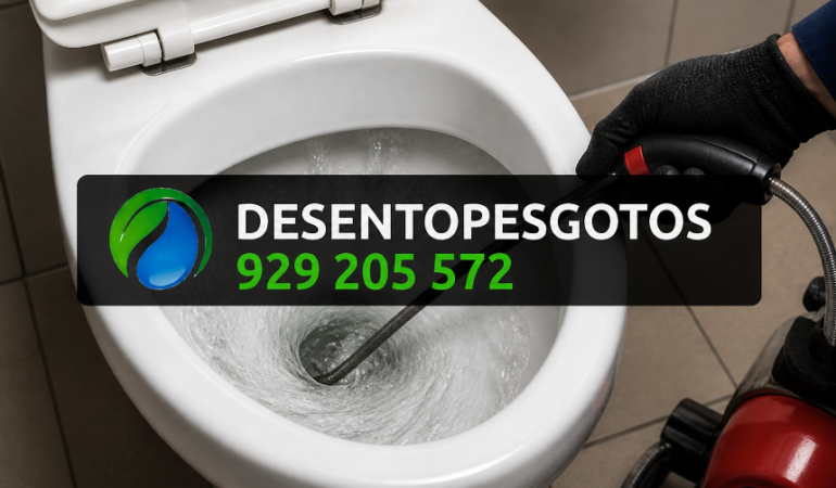 Desentupimento de sanitas