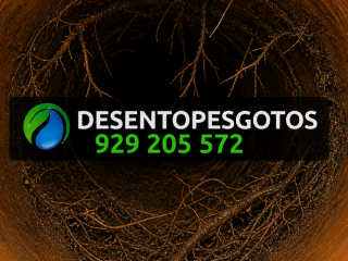 Desentupimento de canos com raízes