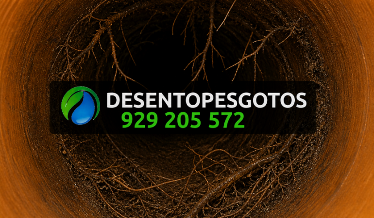 Desentupimento de canos com raízes