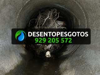 Desentupimento de canos com raízes
