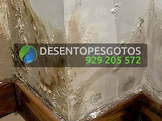 Higienização de caixa de esgoto