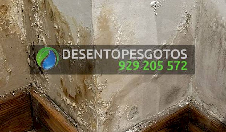 Higienização de caixa de esgoto