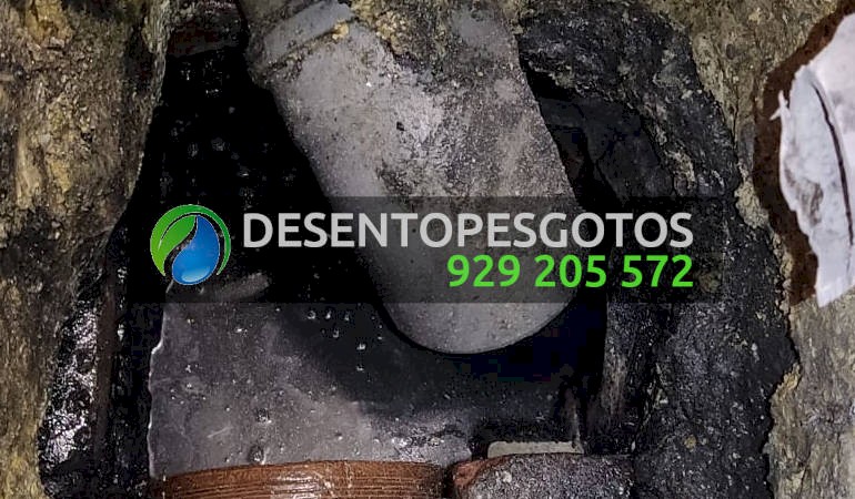 Higienização de Caixa de Esgoto