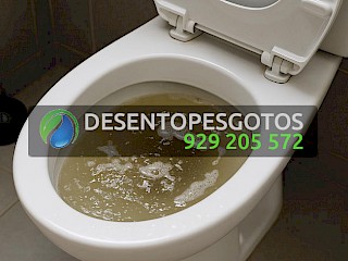 Desentupimentos de Sanitas